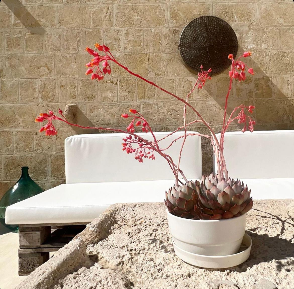 Masseria Spiga Гравина-ин-Пулья Экстерьер фото