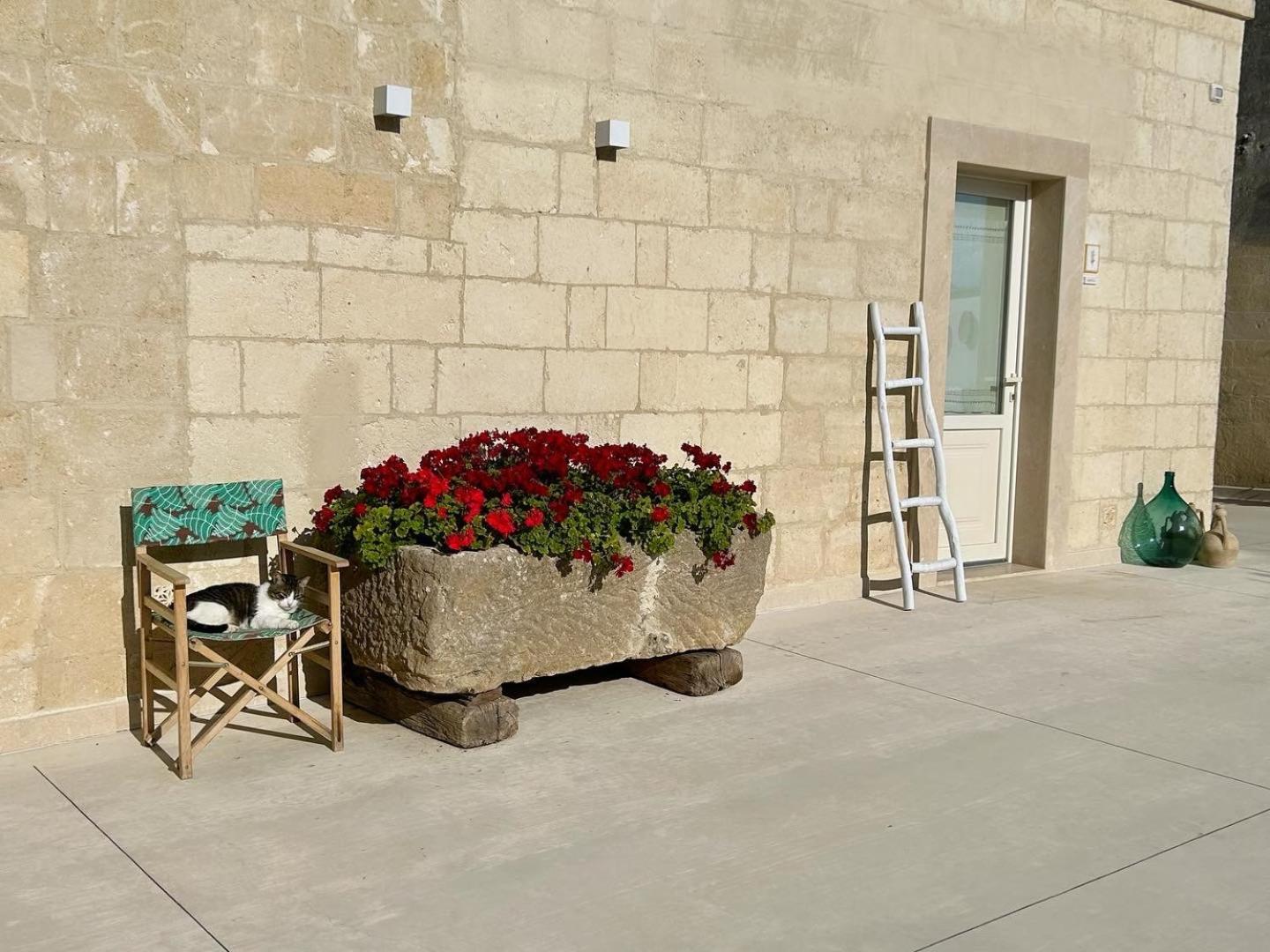 Masseria Spiga Гравина-ин-Пулья Экстерьер фото