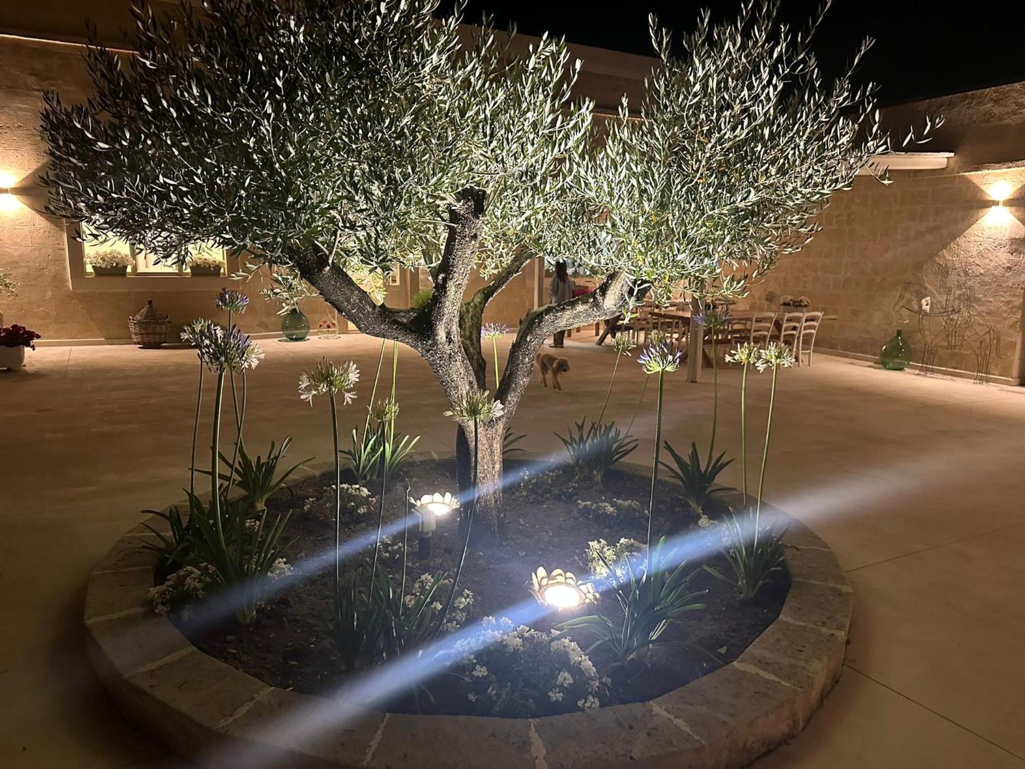 Masseria Spiga Гравина-ин-Пулья Экстерьер фото