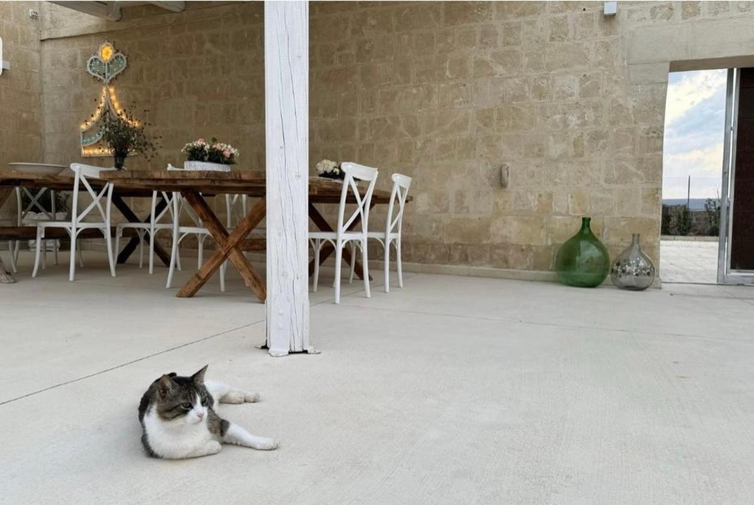 Masseria Spiga Гравина-ин-Пулья Экстерьер фото