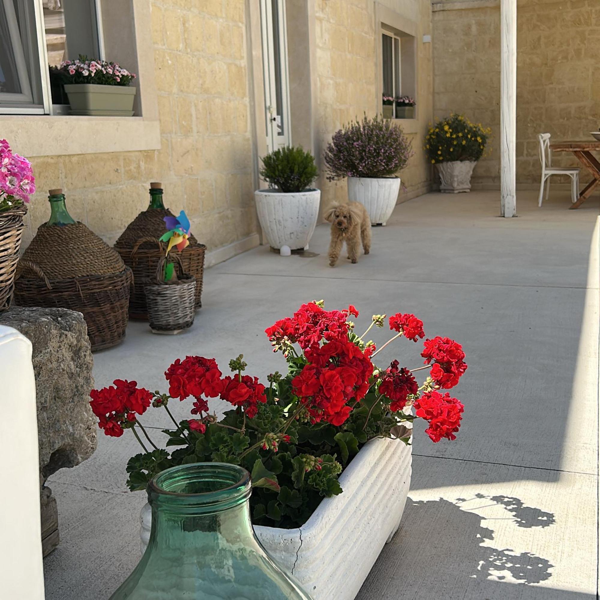 Masseria Spiga Гравина-ин-Пулья Экстерьер фото